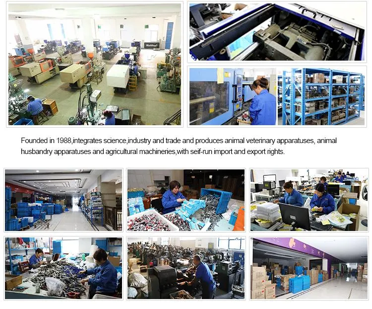 Medical Orthopedic Casting Tape 8