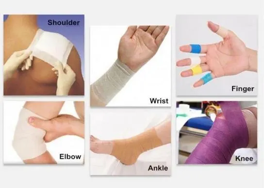 Pet Protection Bandage