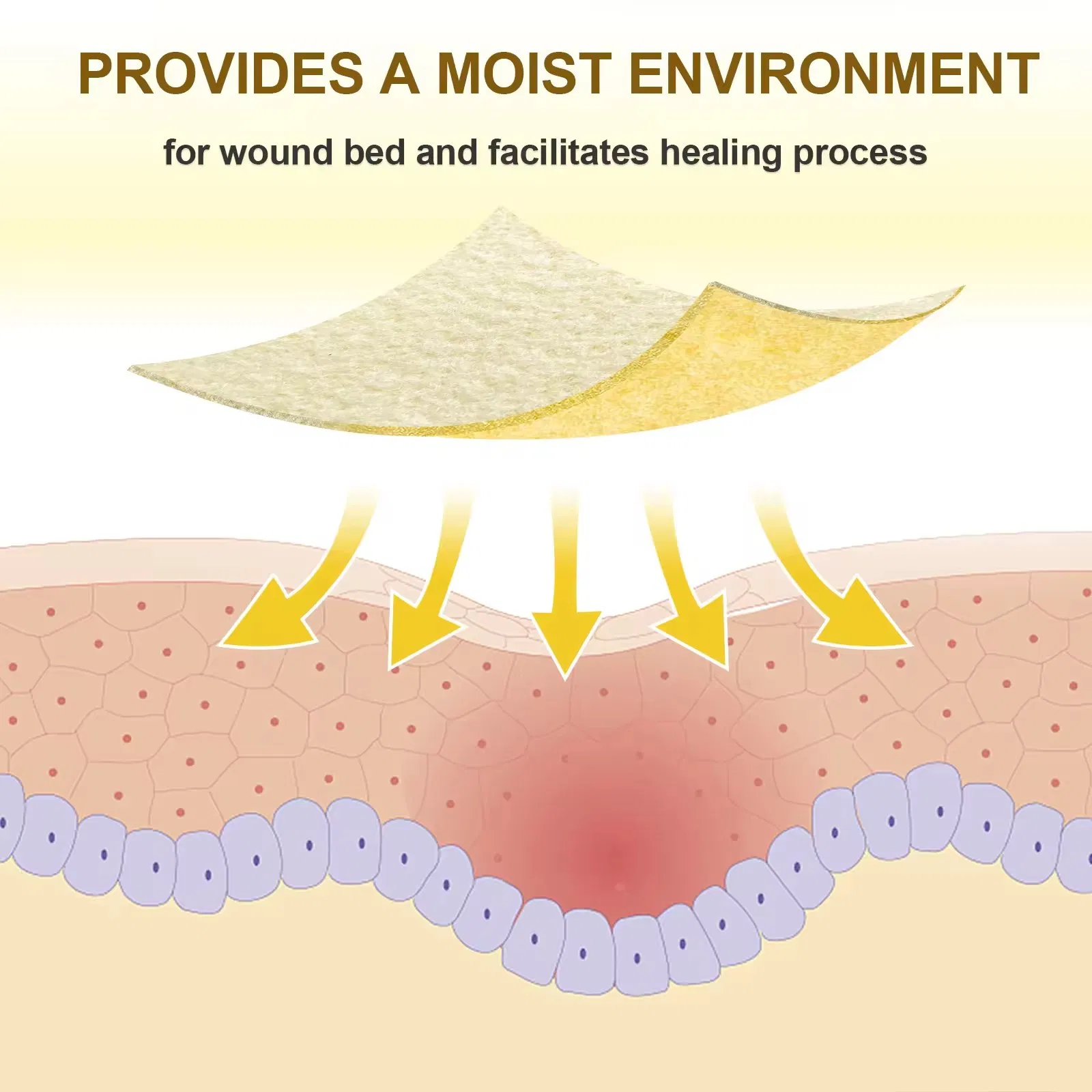 Antibacterial Soft Skin-Friendly Manuka Honey Calcium Alginate Wound Dressing for Wound Care