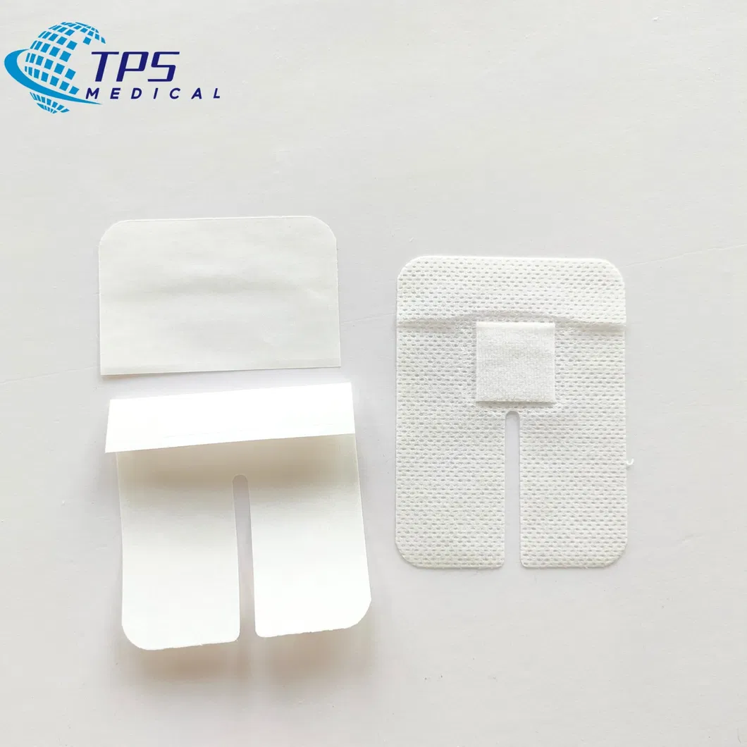 IV Dressing Detail 2