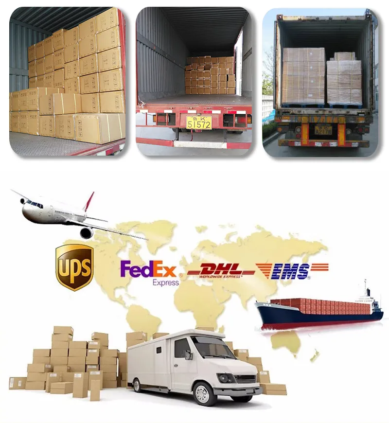 Shipping Logistics