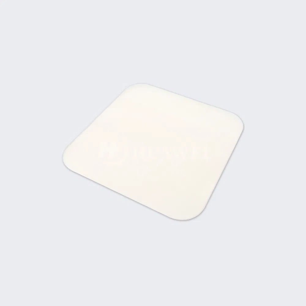 Wound Dressing Detail