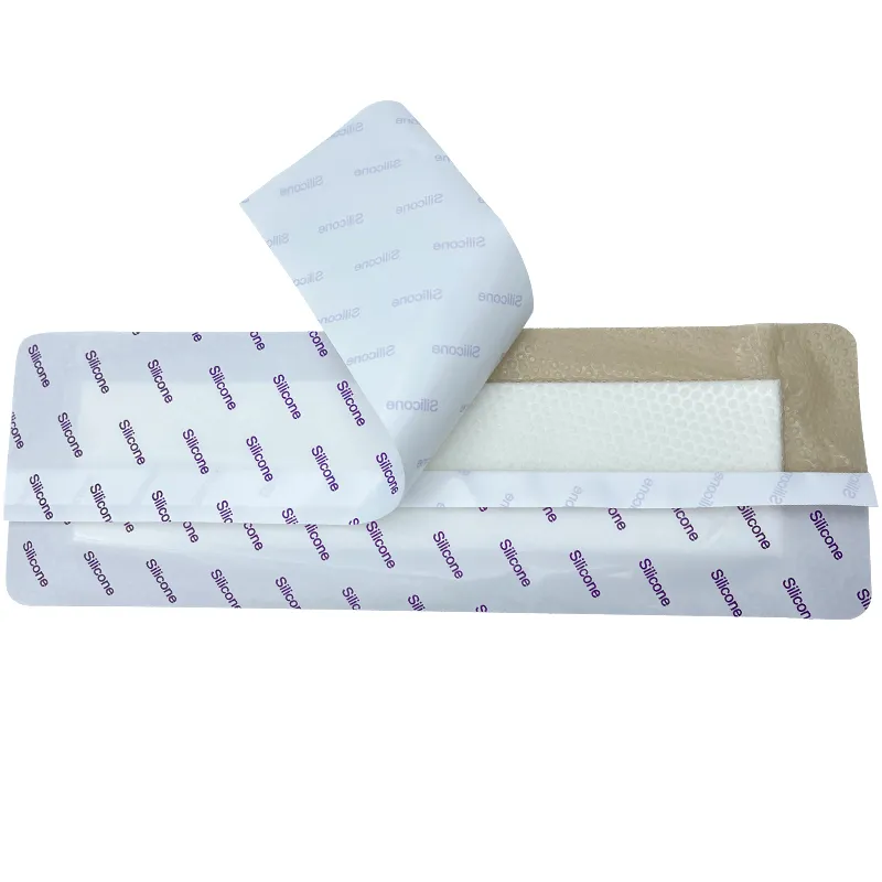 Wound Dressing Detail 1