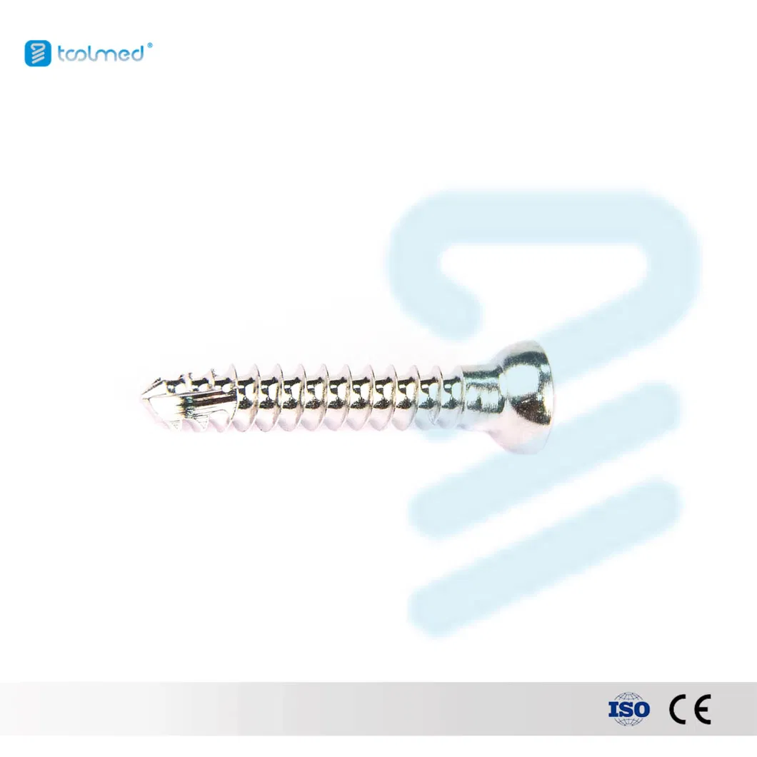 Bone Screw Plate 7
