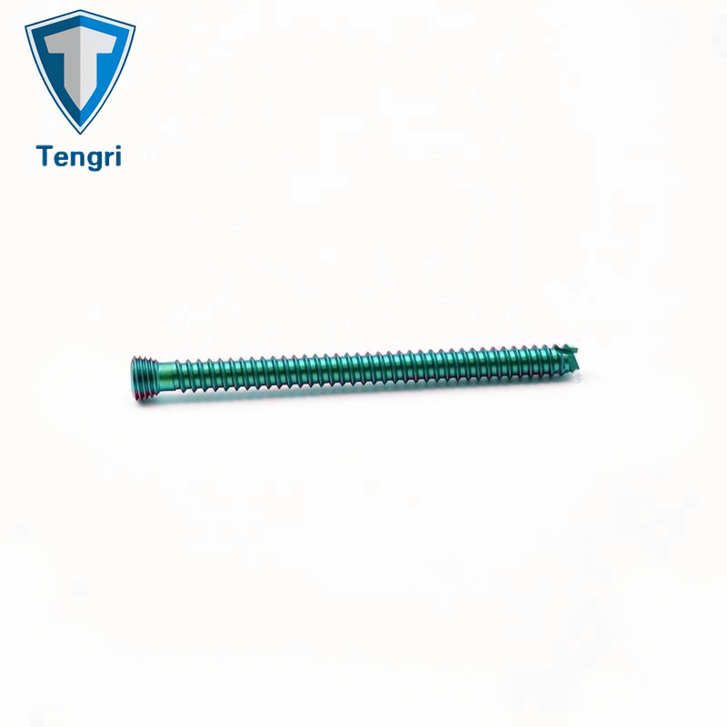 Stainless Steel Headless Cannulated Screws Orthopedic Implants Titanium Orthopedic Screw