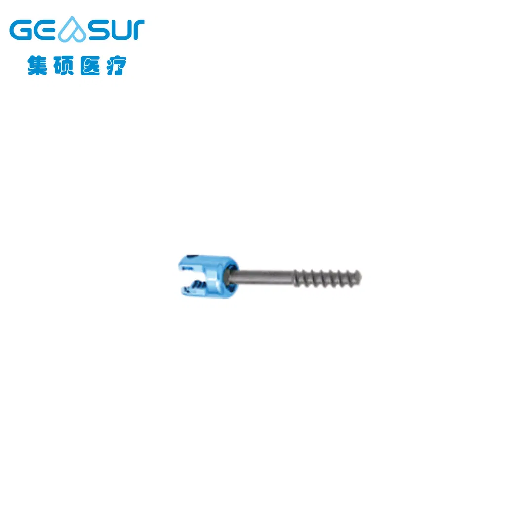 Posterior Cervical Screw Box View 6