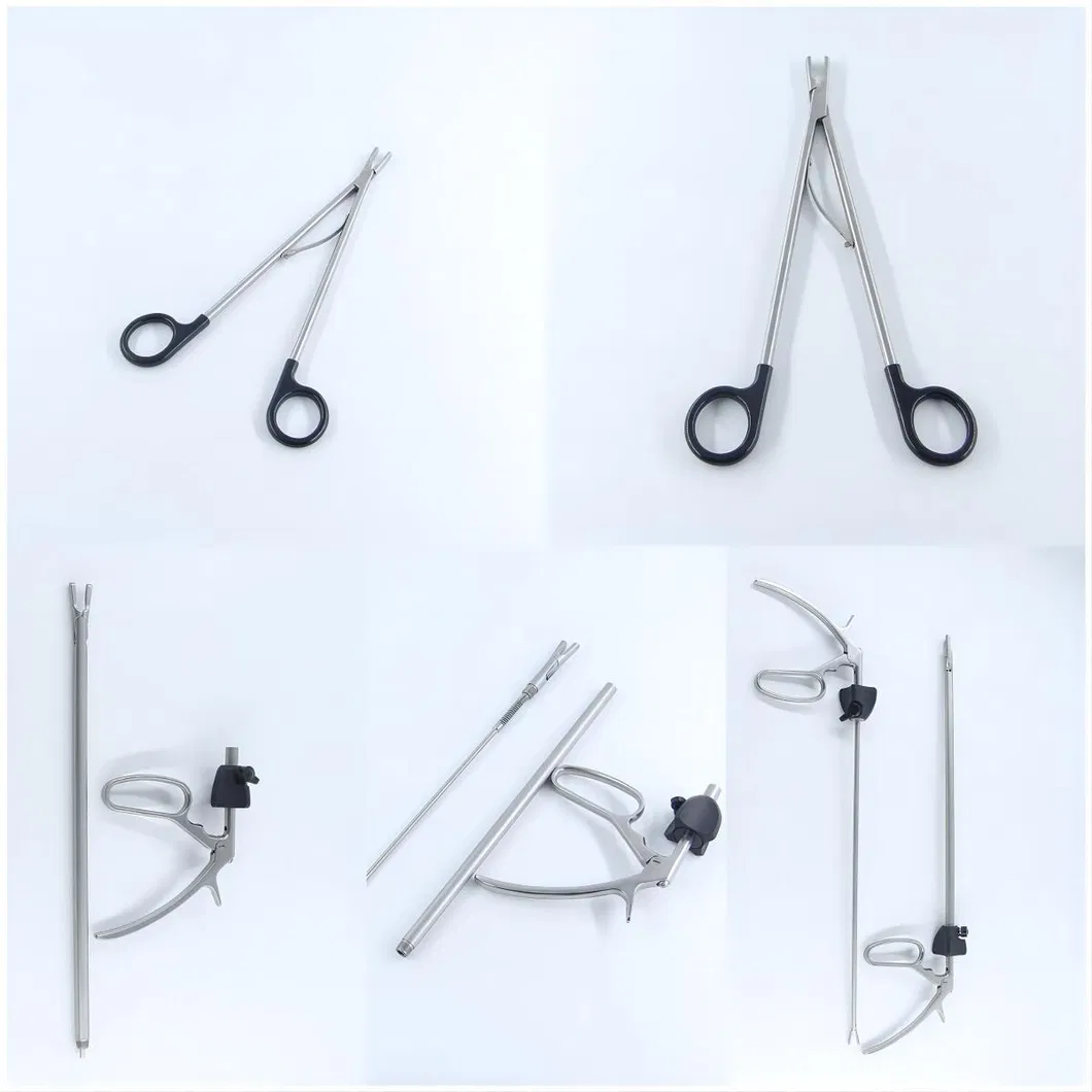 Endoscopic Instrument
