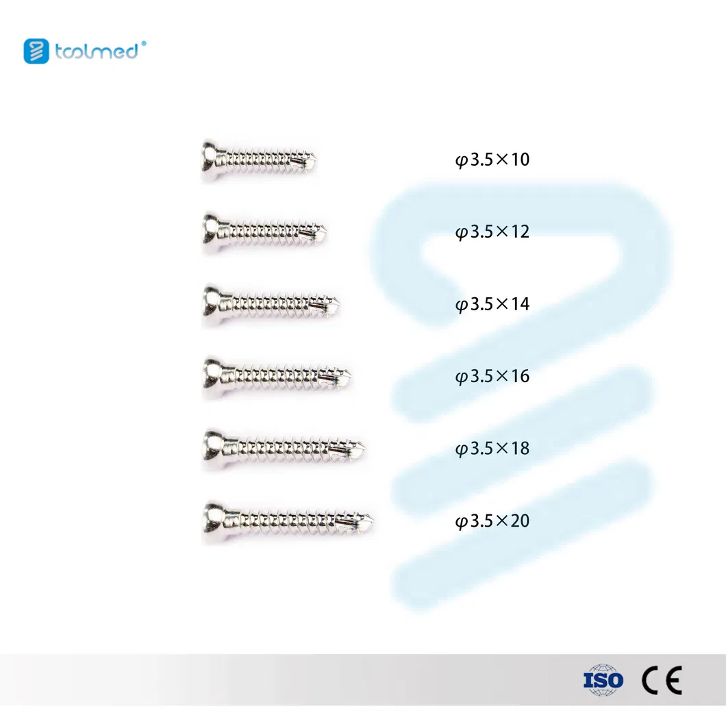 Bone Screw Plate 1
