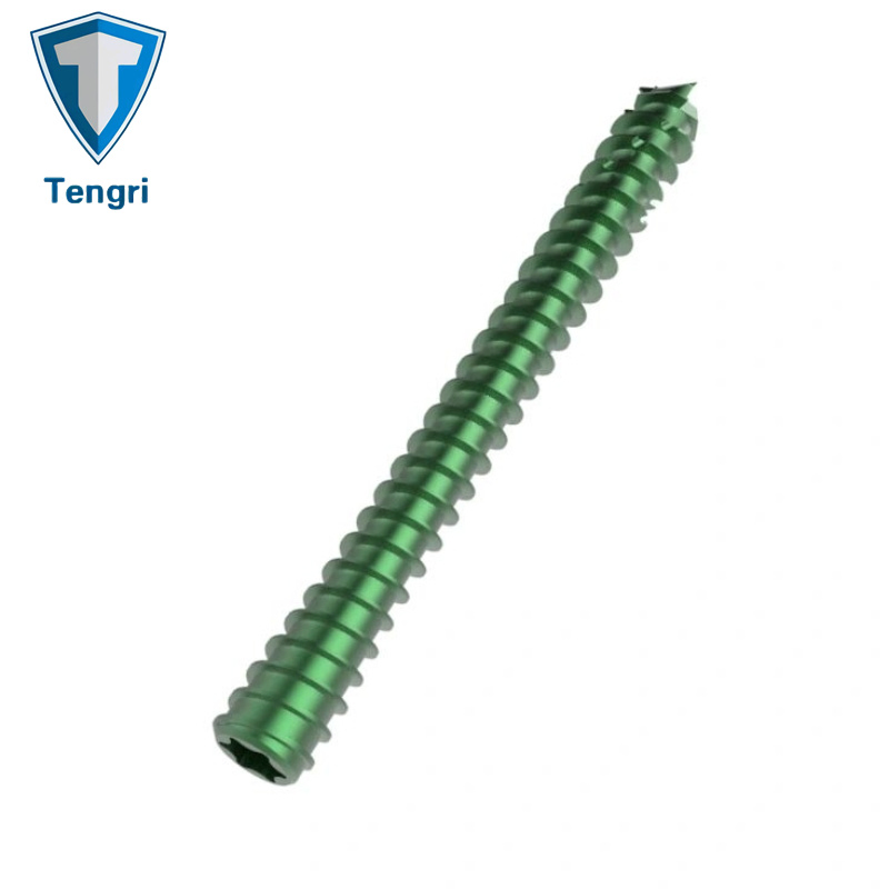 Metal Zinc Plated Orthopedic Screw Headless Cannulated Screws Implants Titanium Screw