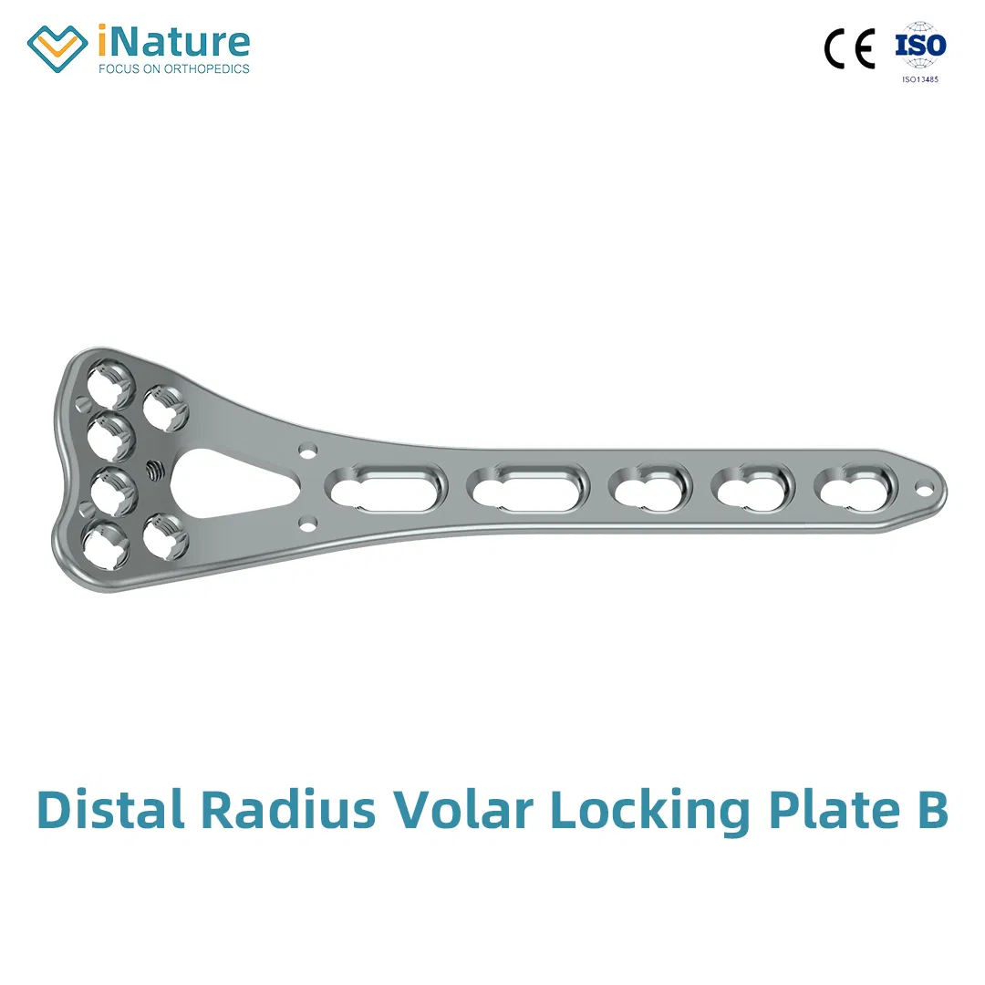Trauma Orthopedic Implants Wrist Joint Bone Plate Medical Titanium Medical Equipment Device Surgical Instrument Hospital Equipment Supply Radius Locking Plate