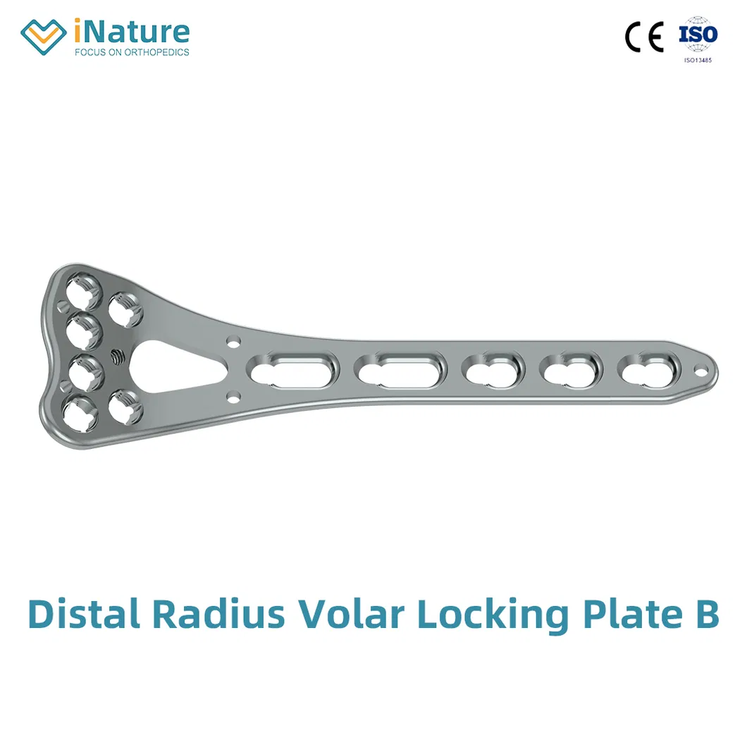 Volar Locking Plate B