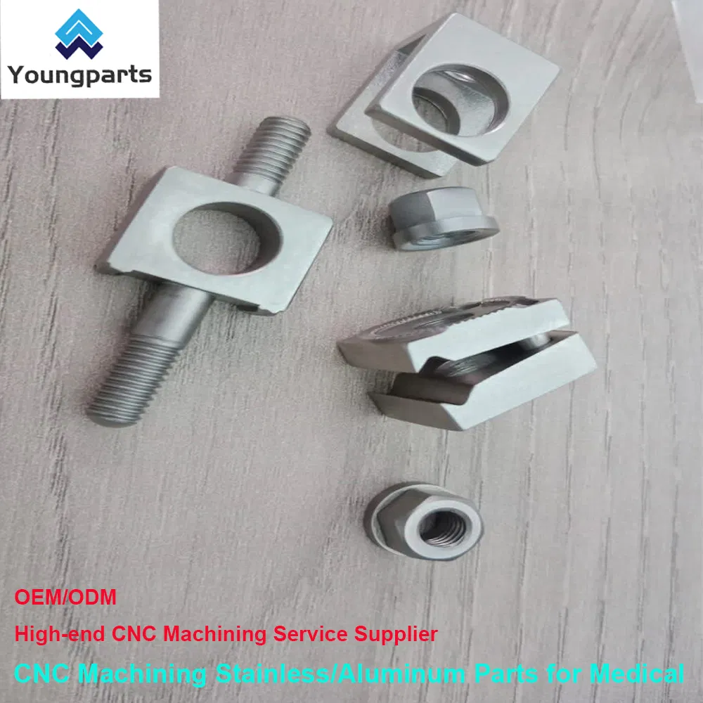 Bone Screw Gallery 5