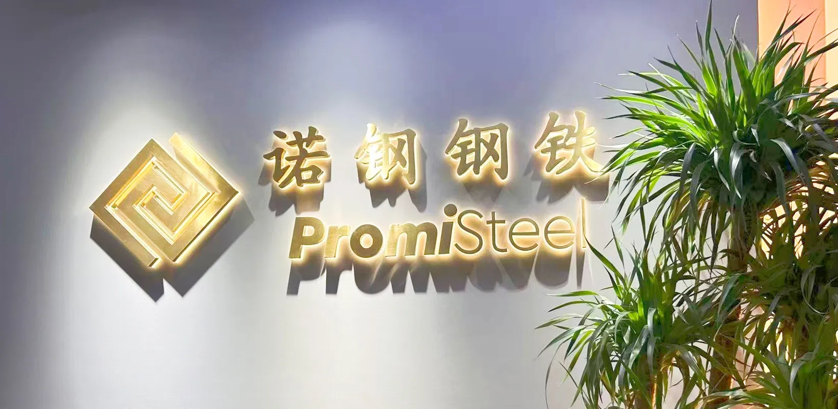 Premium Stainless Steel for Security Door