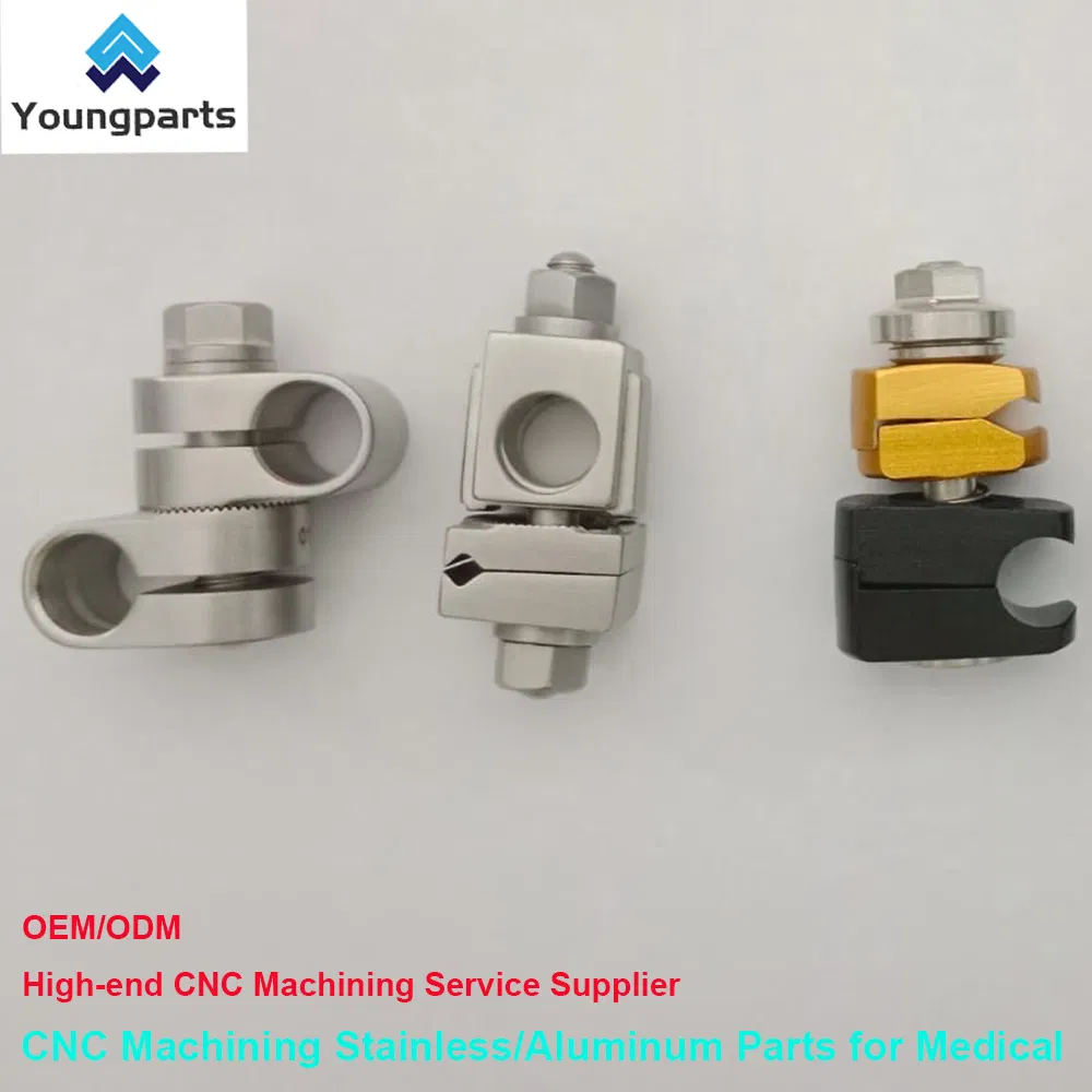 Bone Screw Gallery 6