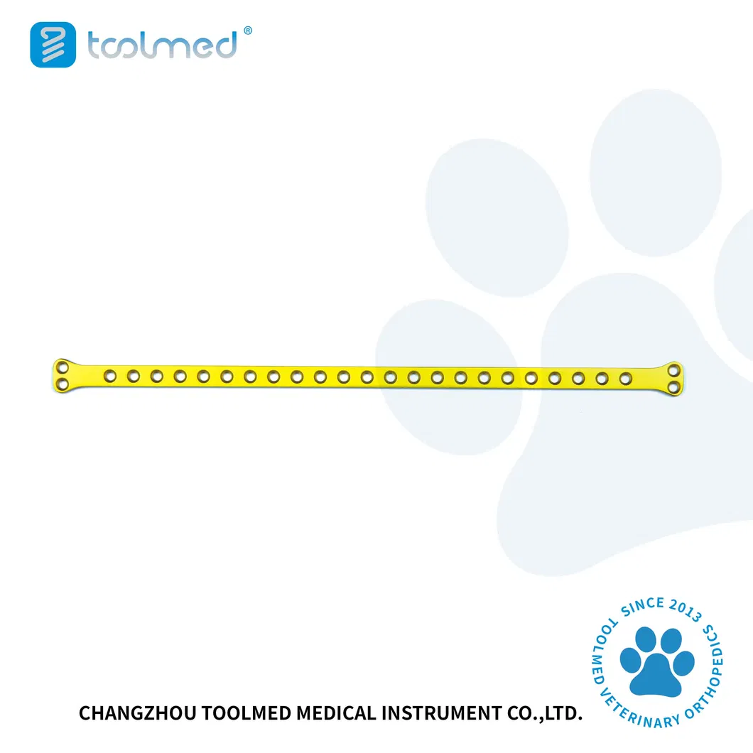 Titanium Implant Plate View