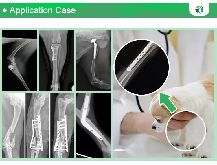 Double T Cuttable Plate Detail 2