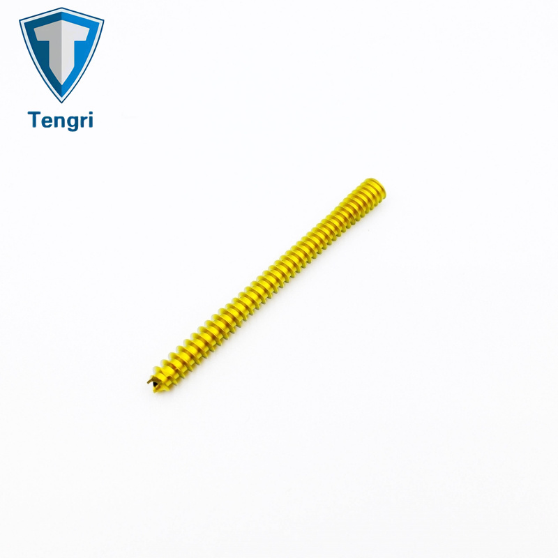 Metal Zinc Plated Orthopedic Screw Headless Cannulated Screws Implants Titanium Screw