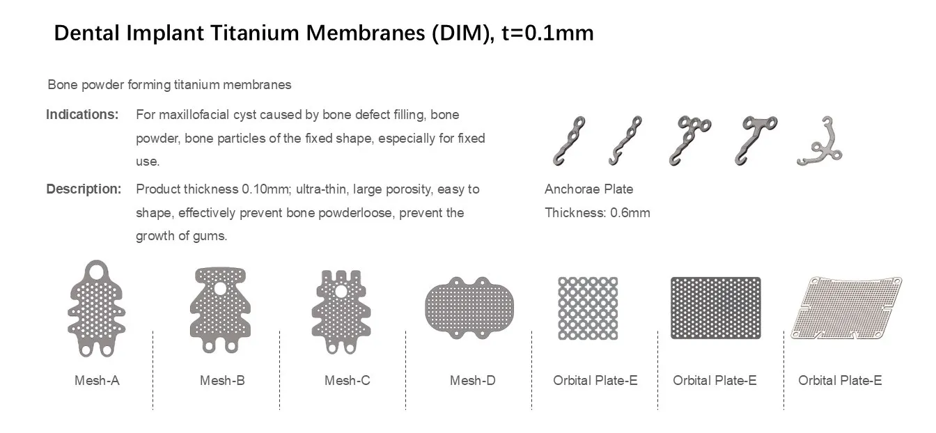 Maxillofacial Mesh View
