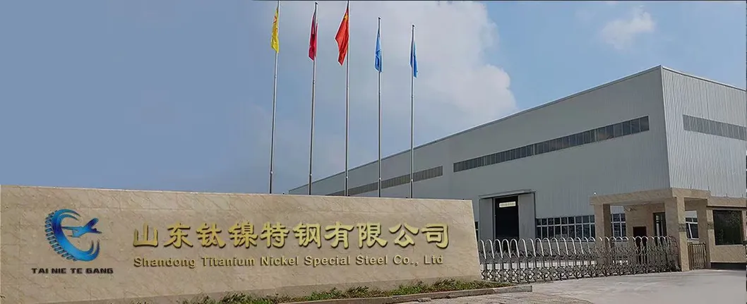 Precision Alloy Strip