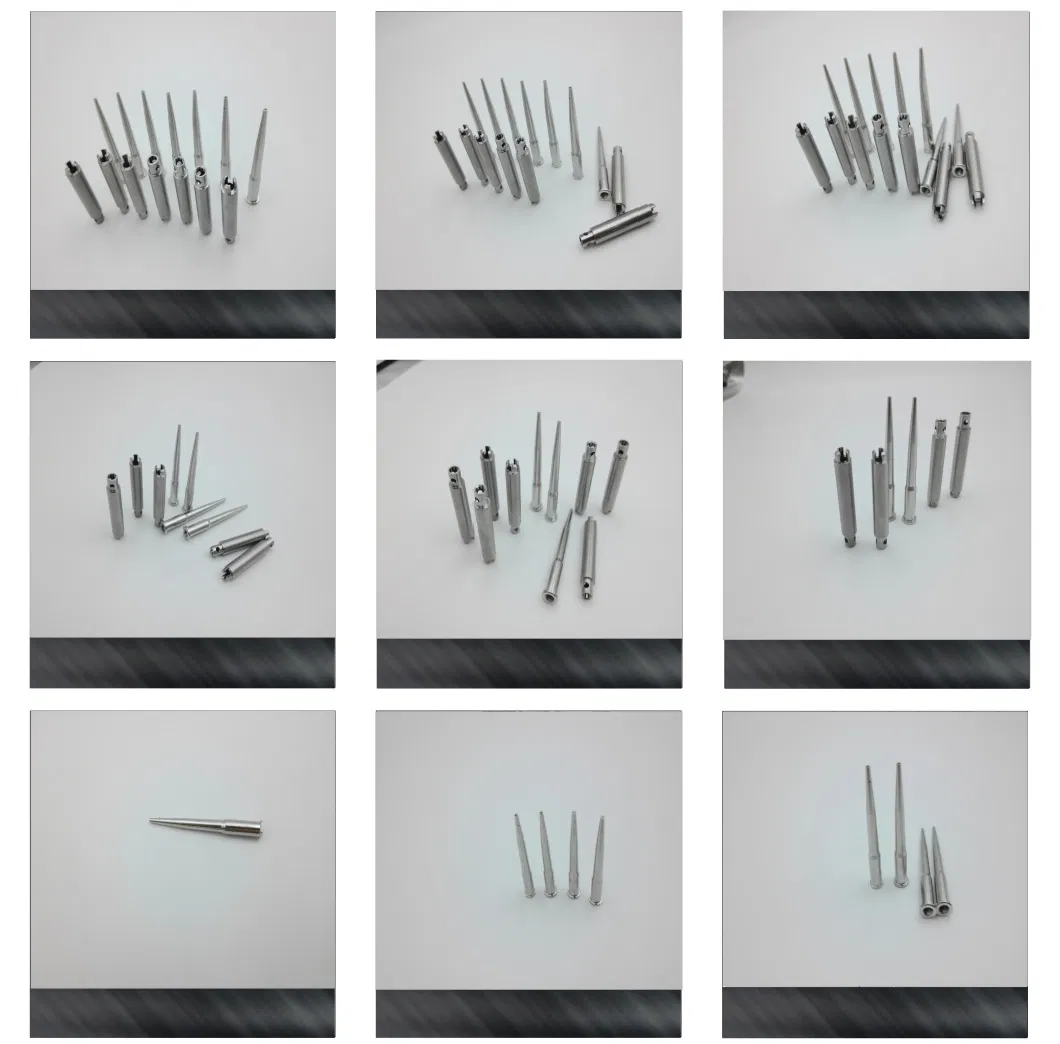 Main Product Showcase