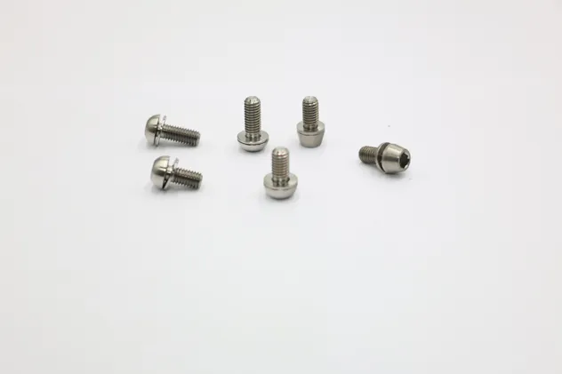 Zirconium Screws Detail 1