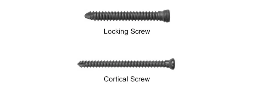 Screws