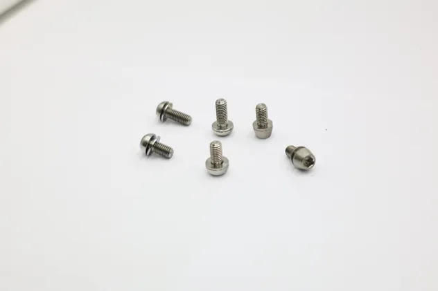 Zirconium Screws Detail 2