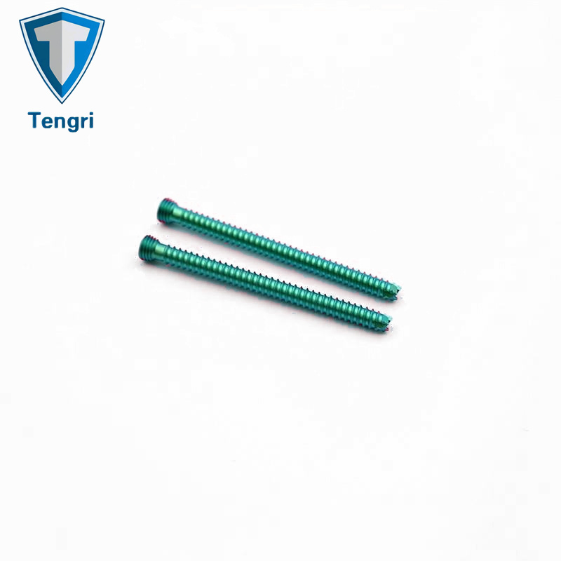 Stainless Steel Headless Cannulated Screws Orthopedic Implants Titanium Orthopedic Screw