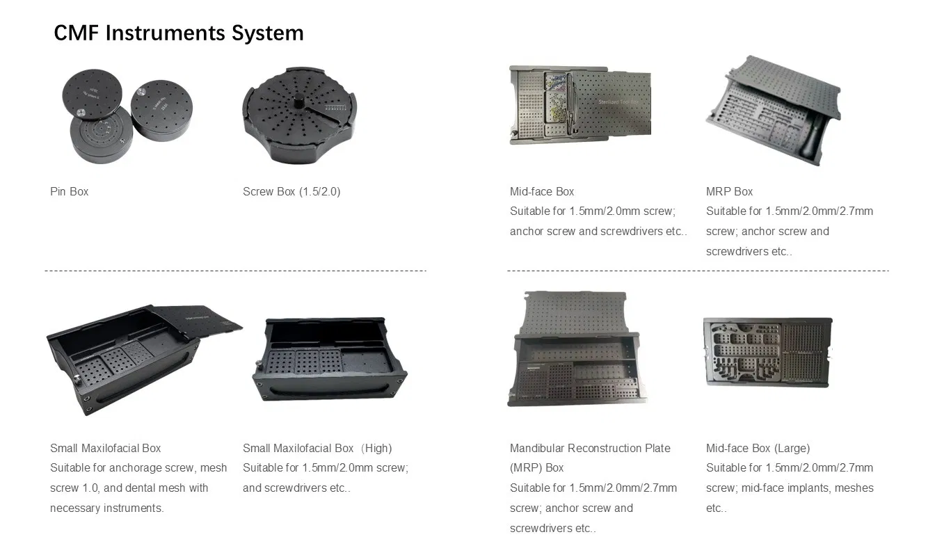 Maxillofacial Mesh Display