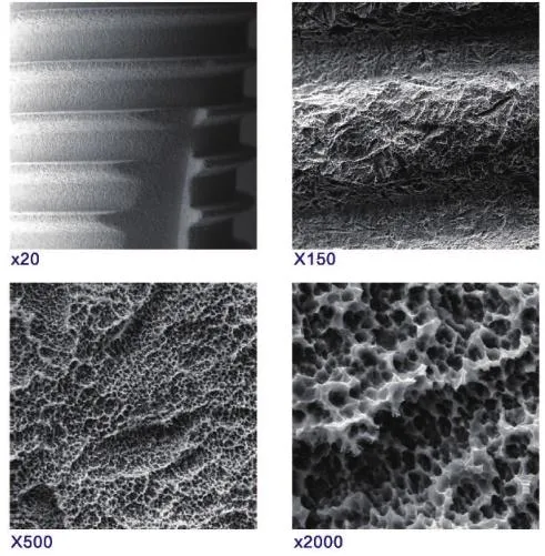 Osseointegration Function