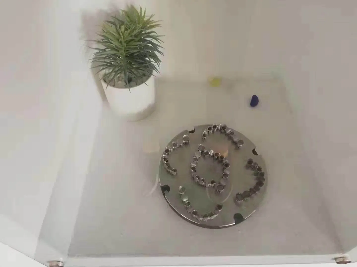 Dental Alloys Cobalt Chromium Price