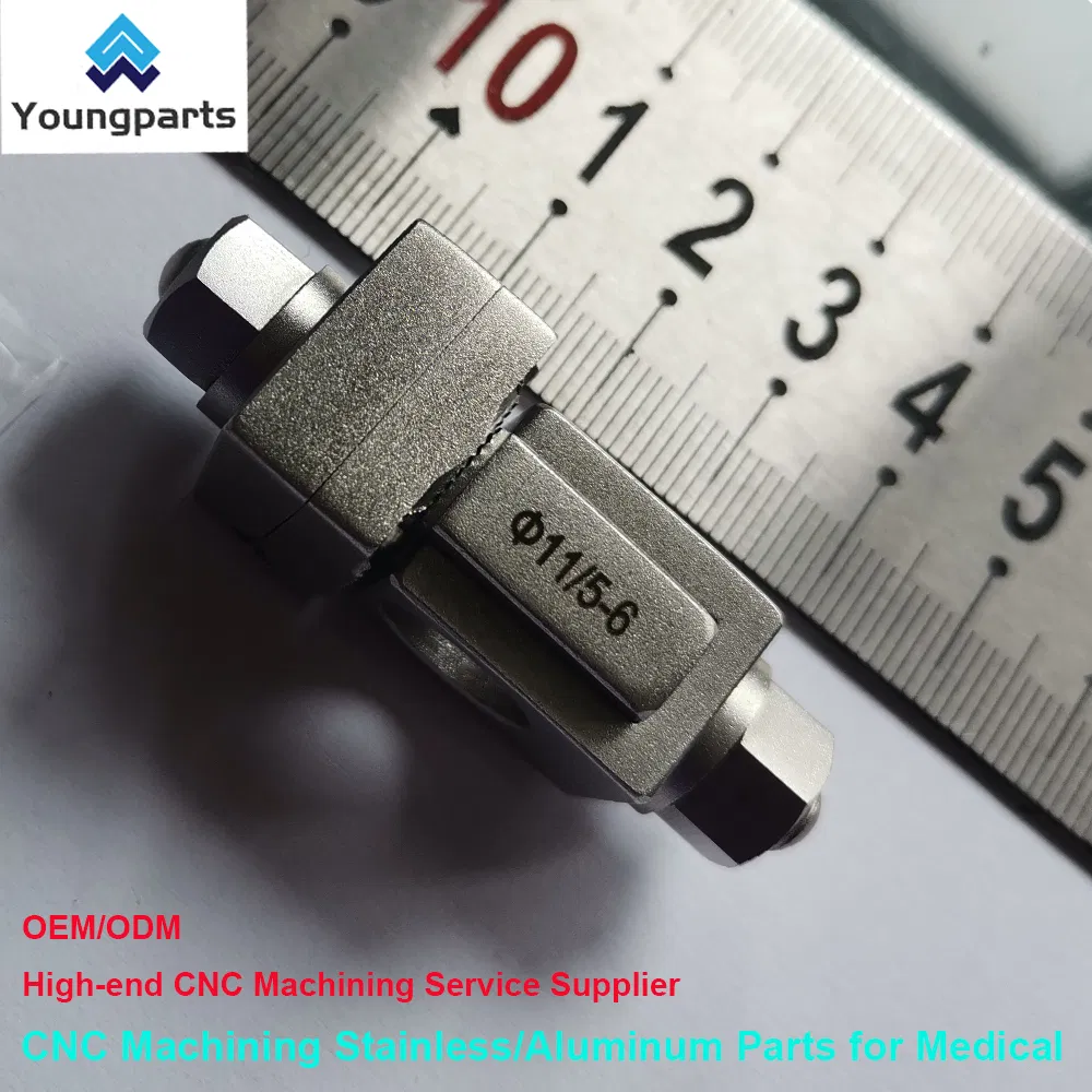 Bone Screw Gallery 4