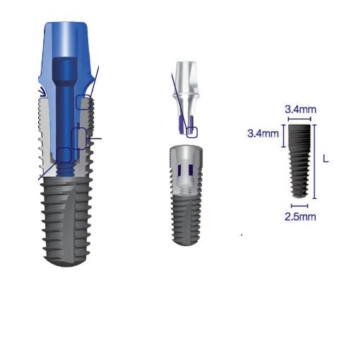 Wholesale Internal Hex Bone Level Dental Implant System Titanium Dental Implant