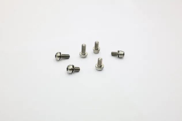 Zirconium Screws Detail 3