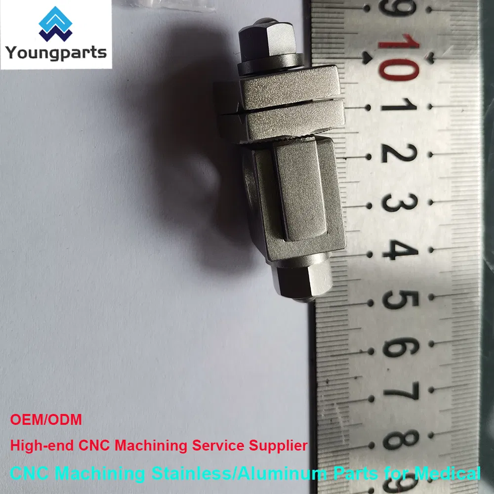 Bone Screw Gallery 2