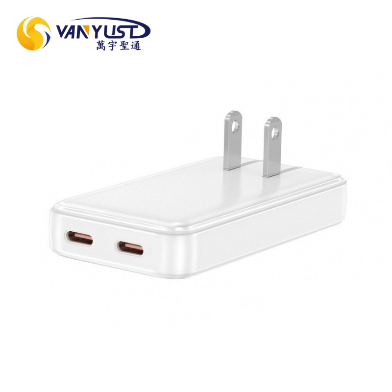 Factory Price 65W Ultra Thin Us Type Adapter Fast Charging Dual Type C 2c Ports Portable Pd Fast GaN Charger for Laptop Computer