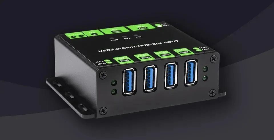 Dual Host Switch Feature