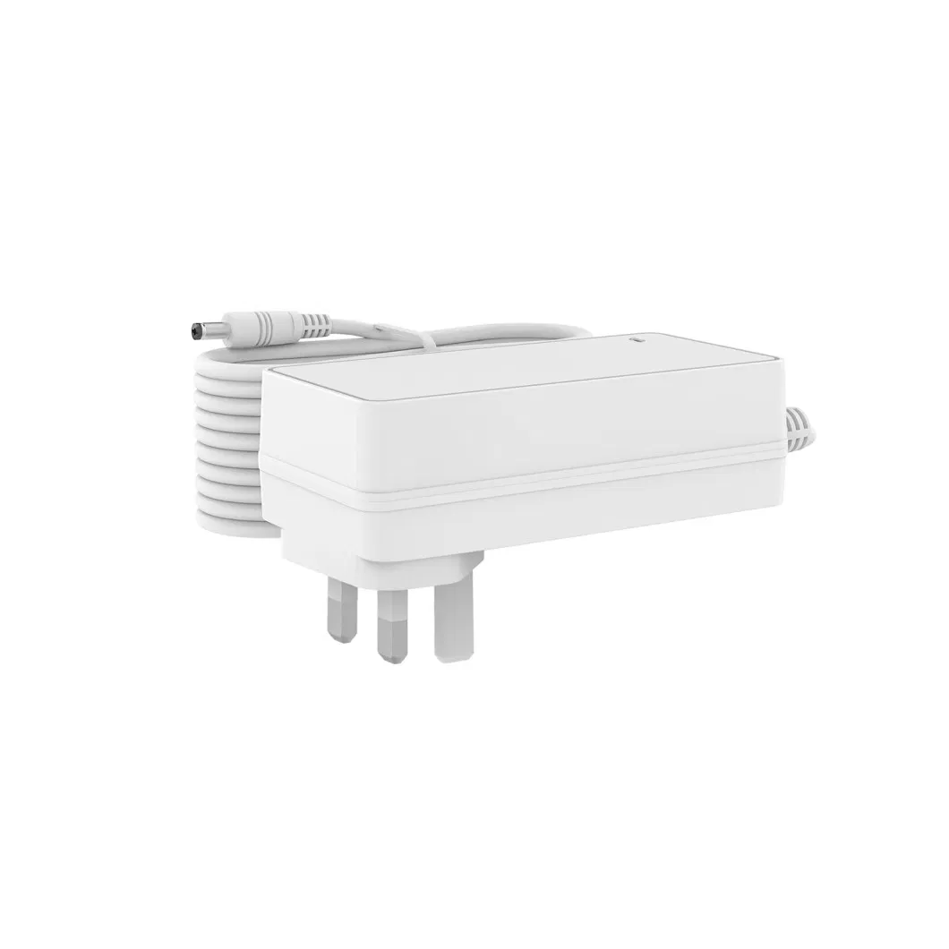 60W Power Adapter View 2