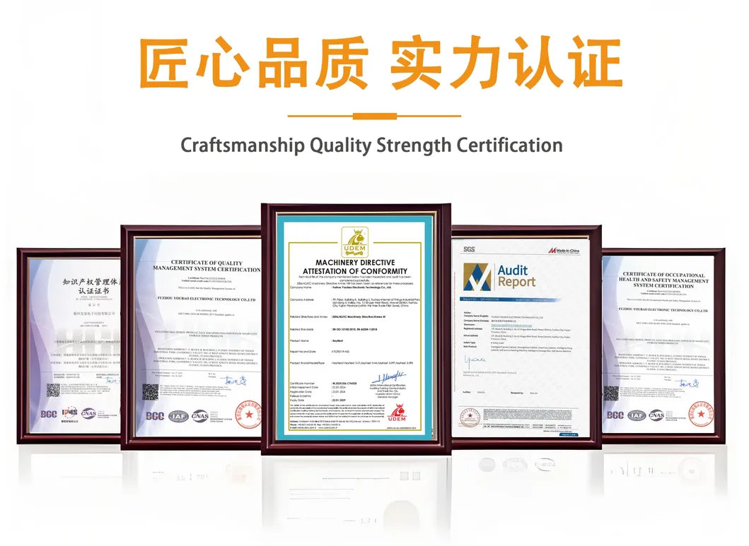 Manufacturing Standards