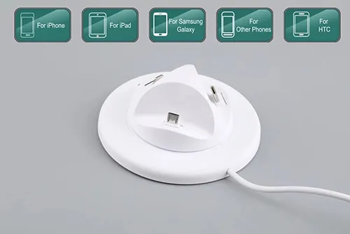 Multi-port Charger