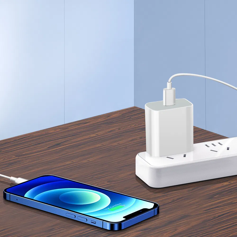 Universal Travel Adapters 20W USB-C Power Adapter