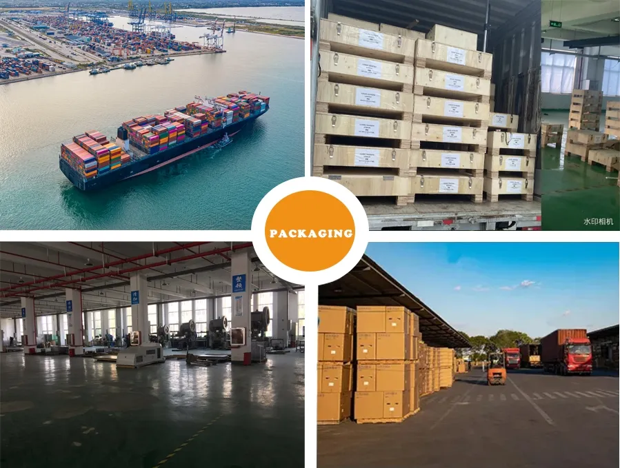 Packaging and Transportation Process