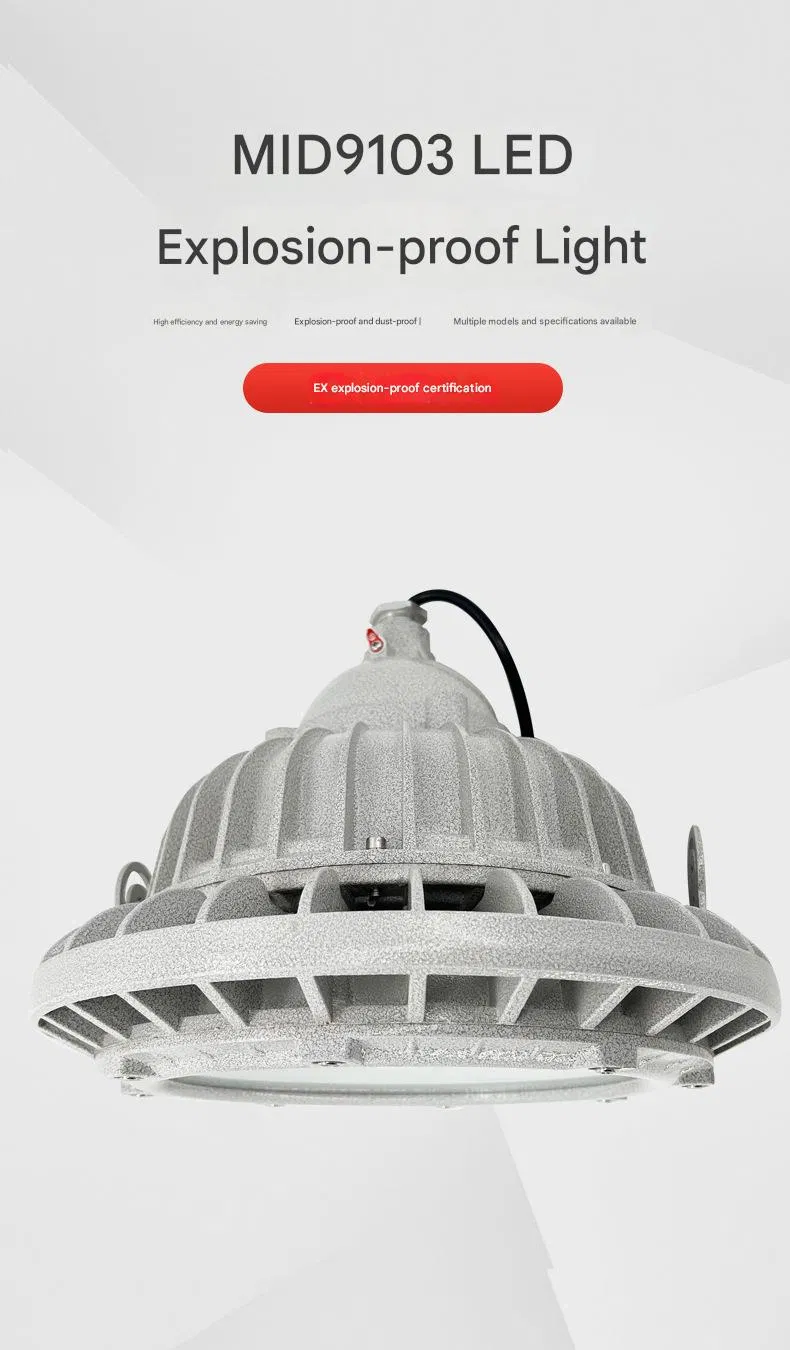 Explosion-Proof Light Photo 1