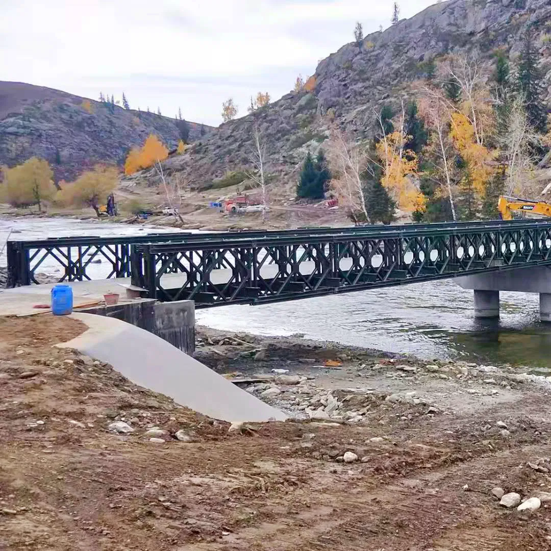 Prefab Steel Profile Galvanized Steel Bridge: Bailey Design for Foot Traffic