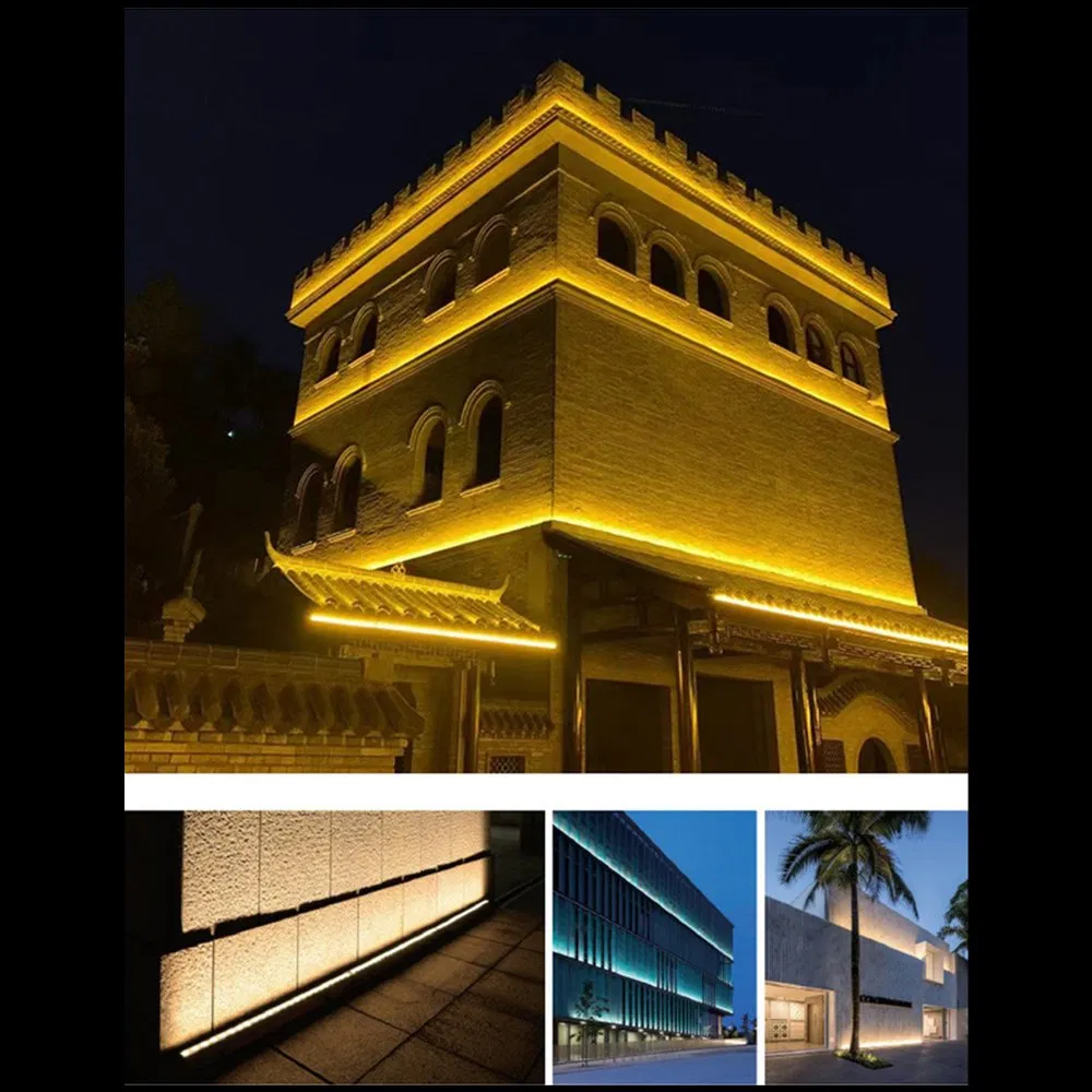 Lighting Color Options