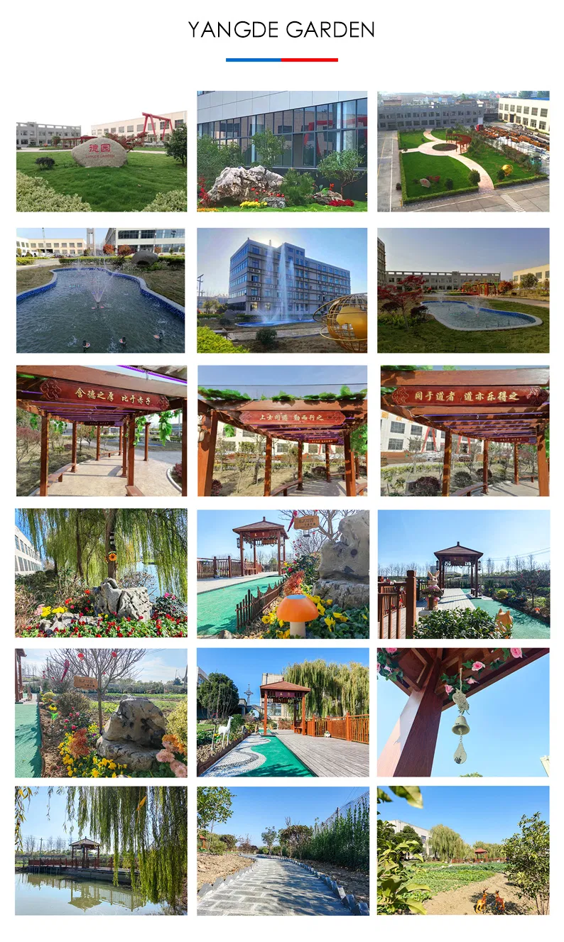 Solar LED Lighting 19