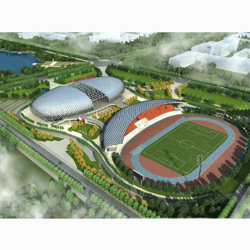 High-Capacity Steel Structure Stadium for Professional Sports Amenities