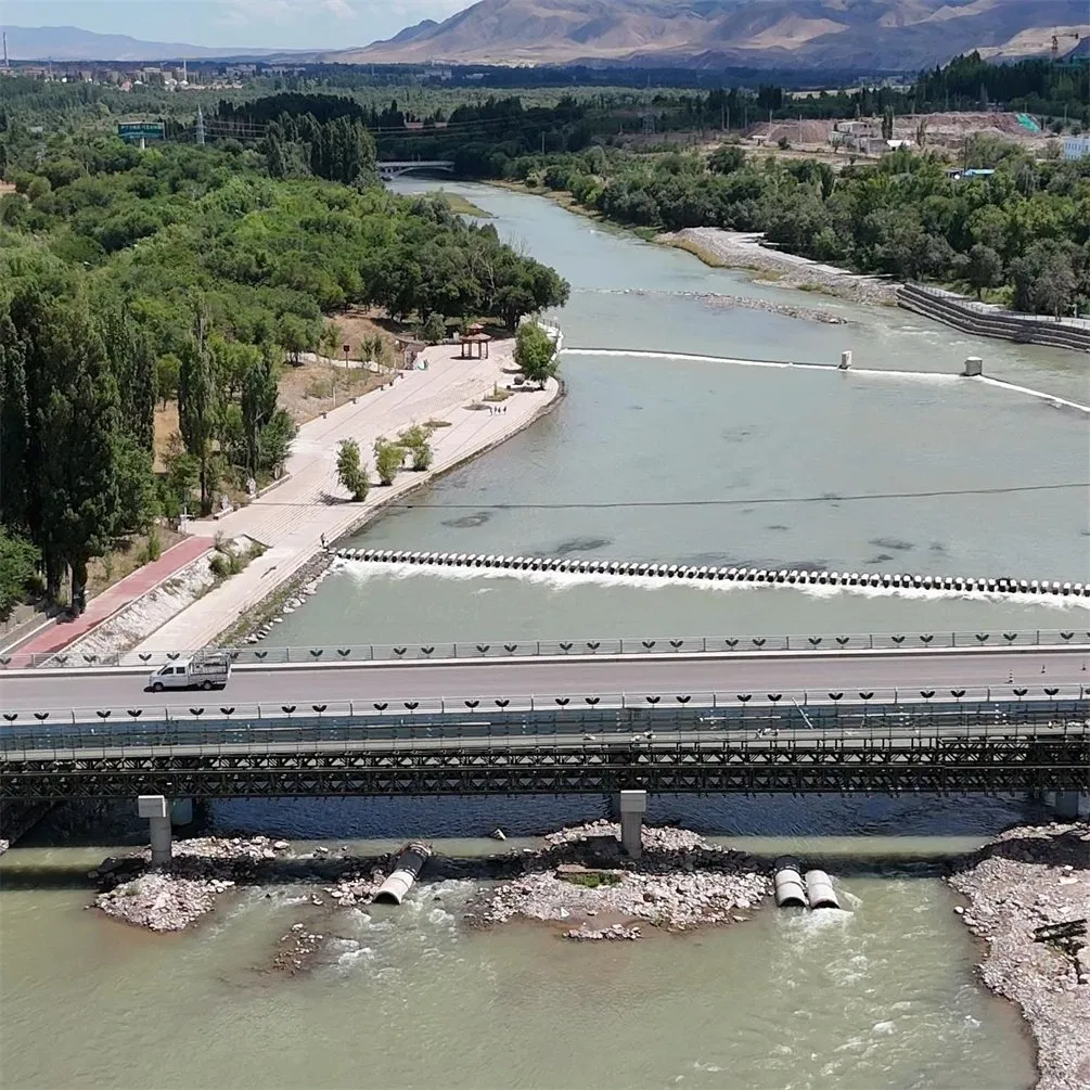 Manufacture Prefab CB200 Long-Span Temporary Bailey Bridge for Construction