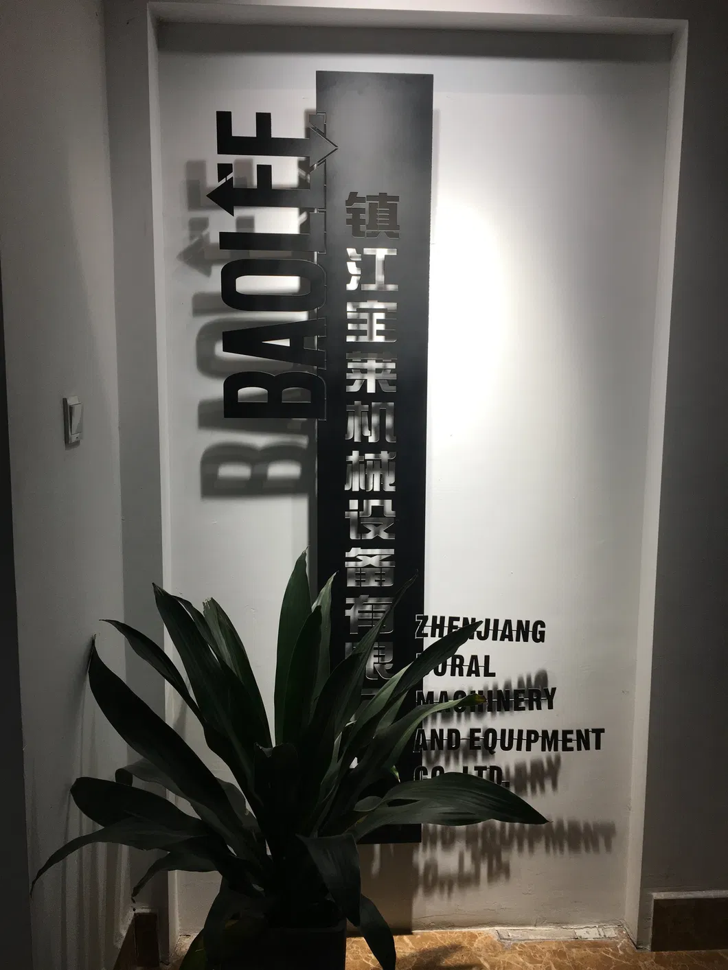 Parking Lift Detail 1