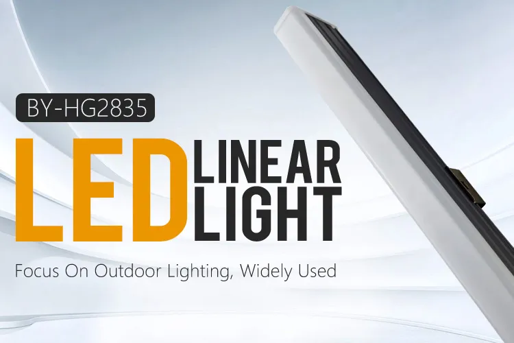 Outdoor Facade Lighting LED Linear Lamp